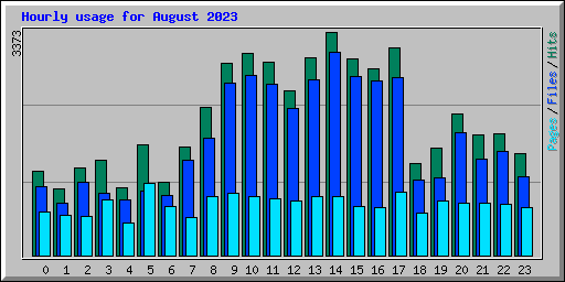 Hourly usage for August 2023